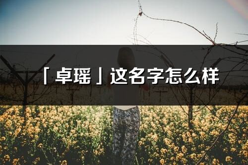 「卓瑶」这名字怎么样