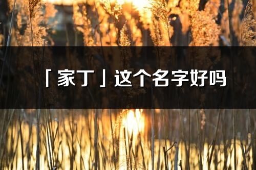 「家丁」这个名字好吗