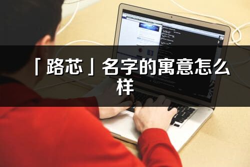 「路芯」名字的寓意怎么样