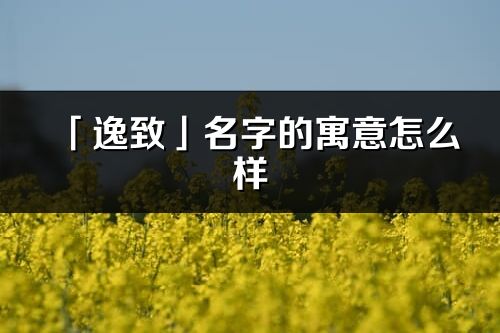 「逸致」名字的寓意怎么样