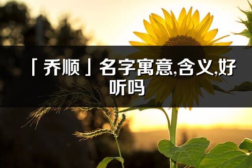 「乔顺」名字寓意,含义,好听吗