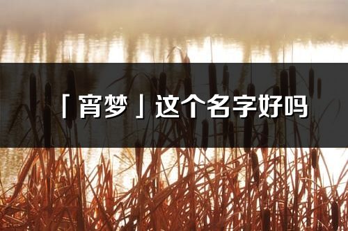 「宵梦」这个名字好吗