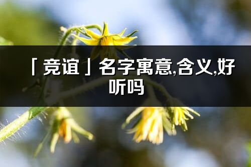 「竞谊」名字寓意,含义,好听吗