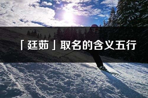 「廷茹」取名的含义五行