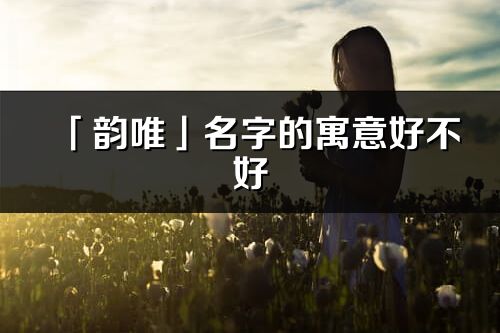 「韵唯」名字的寓意好不好