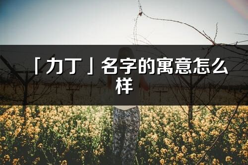 「力丁」名字的寓意怎么样