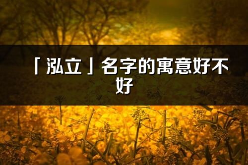 「泓立」名字的寓意好不好