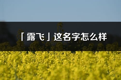 「露飞」这名字怎么样