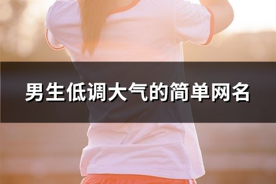 男生低调大气的简单网名(86个)