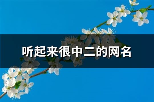 听起来很中二的网名(精选129个)