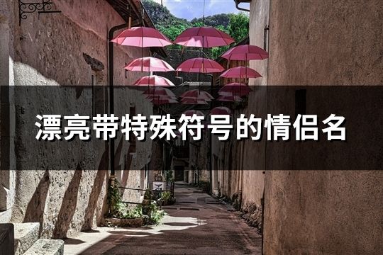 漂亮带特殊符号的情侣名(121对)