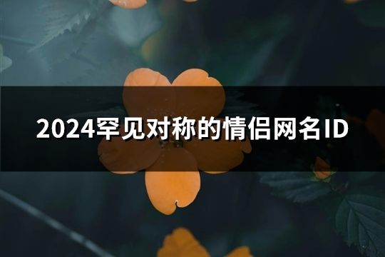 2024罕见对称的情侣网名ID(20对)