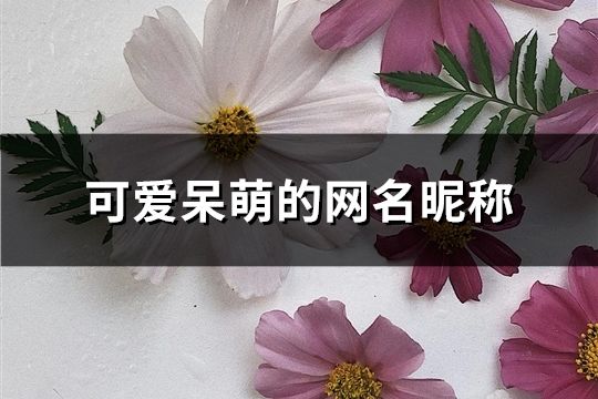 可爱呆萌的网名昵称(共131个)